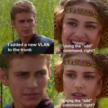 Adding a vlan to a trunk